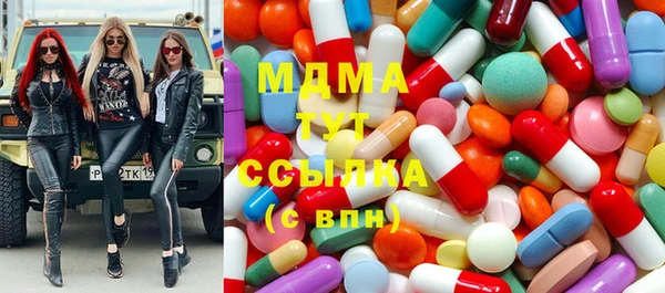 мдпв Ельня