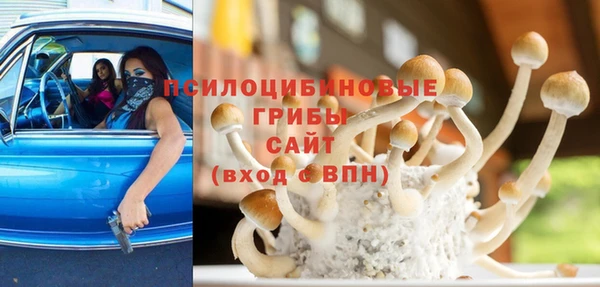 стафф Заволжск